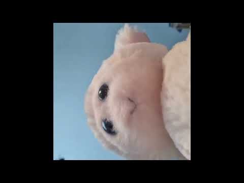 ASMR Goat Plushie - Sniffs and Paw Squishes #furries #asmr #goat
