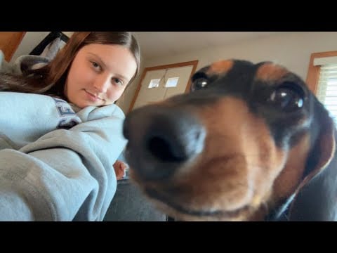 ASMR Pampering My Sleeping Dog! (mouth sounds, hair brush, makeup brush, pets!)