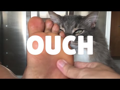 痛がる足つぼ | 足つぼは気持ち良いものなのだけど