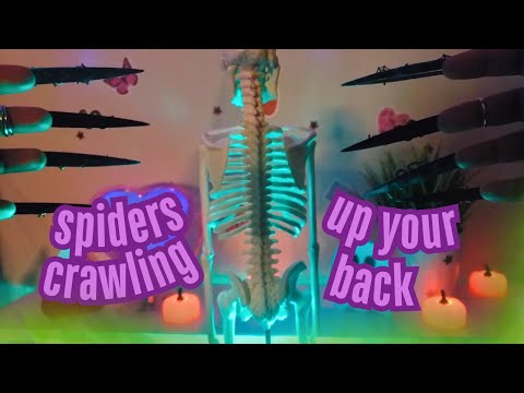 Spiders Crawling up your Back ASMR Snakes Slithering Down with Long Nails , Back Scratching