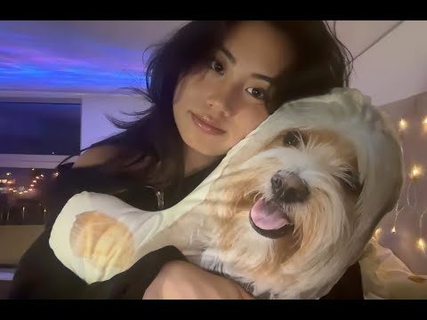 lofi asmr camera tapping + visuals