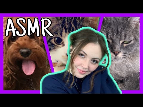 ASMR | Hand Movements, Plucking, Whispers (w/Pet Slideshow!)