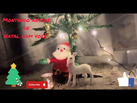 ASMR - Montando arvore de natal com você #asmr #natal #asmrbrasileiro