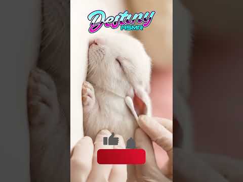 Bunny ASMR Spa Ear Cleaning 🐇 #shorts #viralshorts #asmr #asmrearcleaning