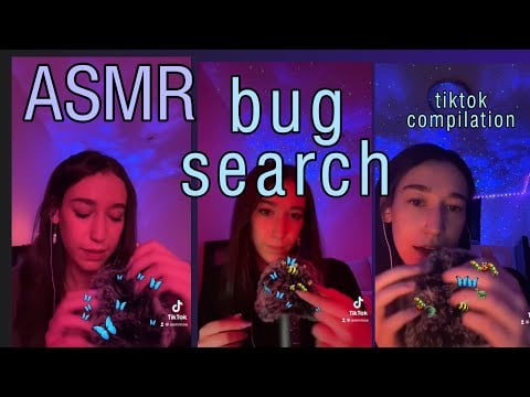 ASMRnoa bug search tiktok compilation