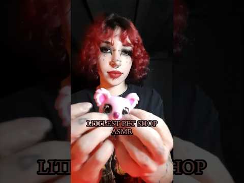 Littlest Pet Shop ASMR