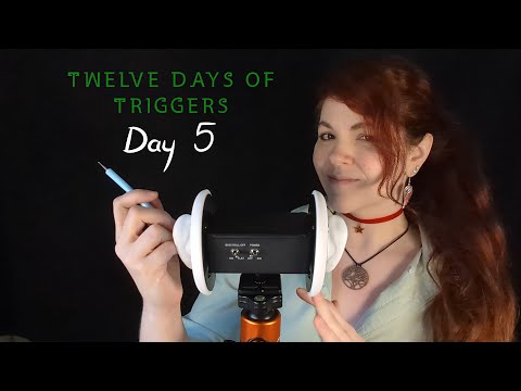 ASMR - Ear Cleaning with Silicone Pick - No Gloves, Soft Spoken - Day 5 of 12 Days of Triggers