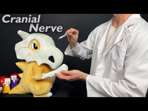 Relaxing Cranial Nerve Exam on Your Cubone | Pokemon ASMR