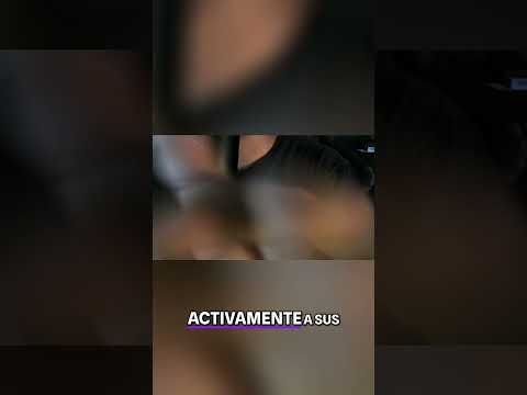 Cazadores vs  Tramperos  La Psicología de los Asesinos Seriales #asmr