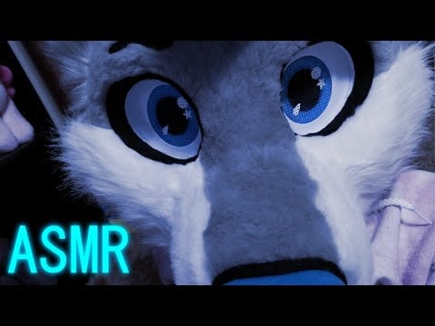 [Furry ASMR] Pure Ear Tapping :3