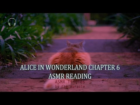 Alice in Wonderland chp 6 ★ [ASMR] Reading ★ [Binaural] [Softly spoken]