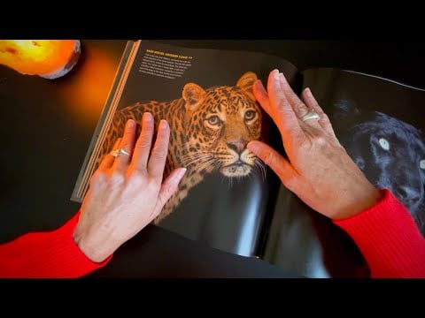 Soft-Spoken & Whispered ASMR | Flipping Through a Beautiful Animal Photo Book