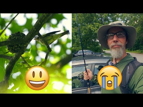 Birding 😃 But Not Fishing 😭 at the John Heinz NWR in Philadelphia, PA