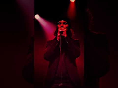 HIM - Never vanishes into hell (2026)