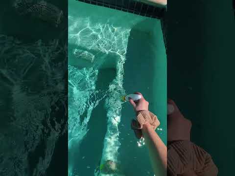 pool asmr game #asmr #poolasmr #lofiasmr #asmrgame