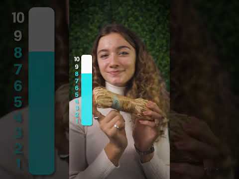ASMR - Rating New Triggers!