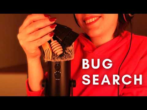 Fall Asleep in Minutes With This 6 hours Bugs searching ASMR 😴