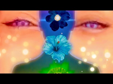 🌙 ASMR MEDITACION GUIADA🧘🏼‍♀️🍃 | ASMR GUIDED MEDITATION | ASMR en ESPAÑOL