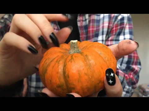 [ASMR] Fast Pumpkin Tapping 🎃