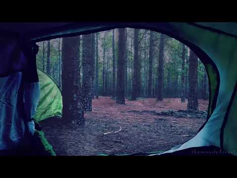 Rain on Tent ASMR Ambience