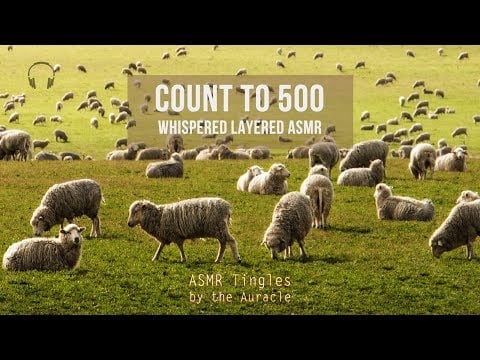 [ASMR] Whispered  ★ Count to 500 for sleep and relaxation  ★ [Binaural] [layered]