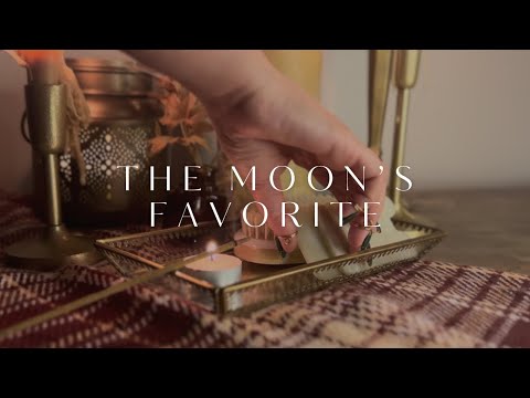 ASMR POV Reading You a Bedtime Story and Brushing Your Hair [Soft Spoken]