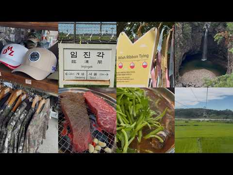 I Traveled Korea’s DMZ Border Region… and Found THIS 😳🇰🇷