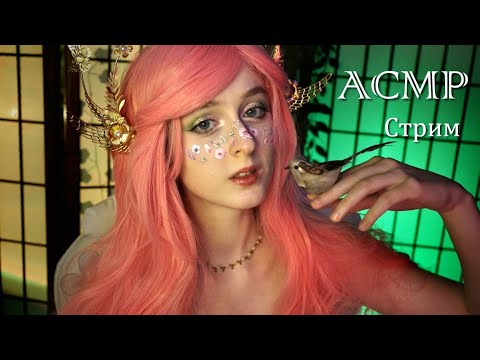 Уютный АСМР стрим ♡ Триггеры, тихий голос и шёпот