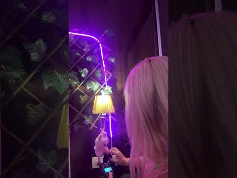 Lo-fi Asmr - Oda Turu