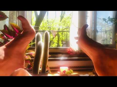 ASMR Good morning FEET in sunshine