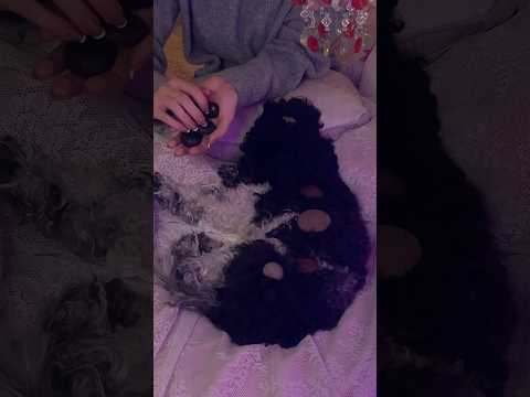 ASMR with Oliver | Tapping, Massaging, layered sounds, Calming Music for Sleep and Relaxation