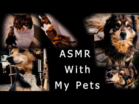 АСМР с Моите Животинки🐱 ASMR with my Pets | Eating, Petting 🐱АСМР на Български