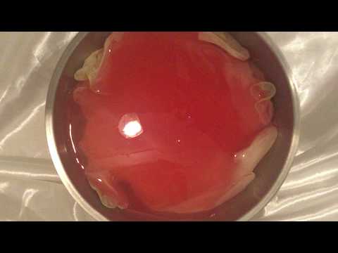 LATEX GLOVES ✋ 🤚 The Birth of Latex Gloves 👅 Messy 🖤 Ripped Gloves  💔❤️Slimy [[ASMR]]