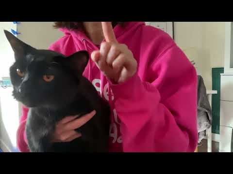 ASMR story time! Orpheus and Eurydice, roughly