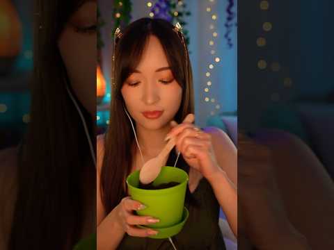 ASMR Jardinage 🪴 On plante un basilic 🌱