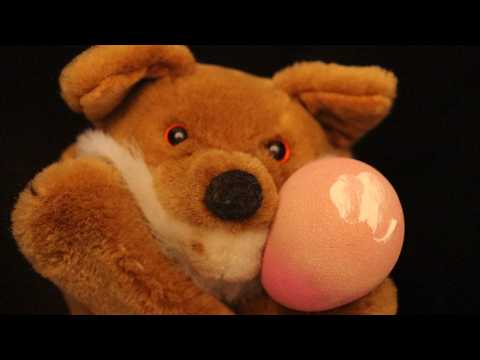 ASMR Ferdinand Fox Gives You a Make-Over