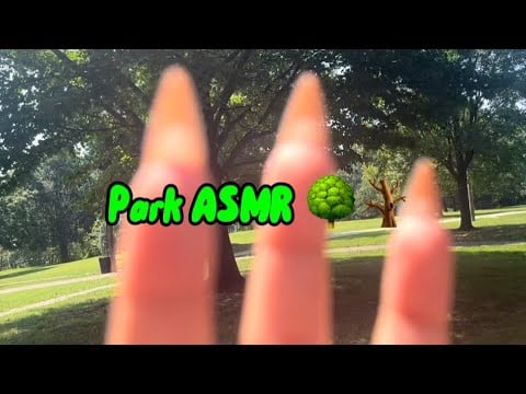 Park ASMR Lofi