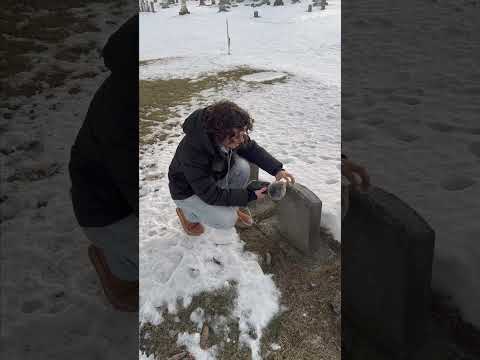 ASMR in the snowy graveyard #asmr #graveyard #asmrsounds