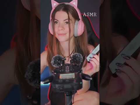 Cat or dog? Recorded how my cat purrs ASMR записала как мурлычет мой кот АСМР #shorts #asmr #асмр