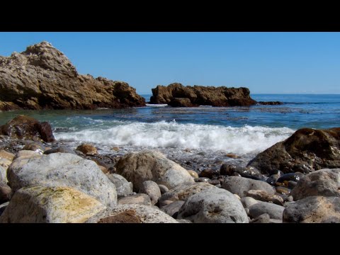 [ASMR] The Sounds of the Sea (No Talking)
