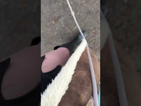 ASMR nach dem Sport in meiner schönen Leggings. 🤭