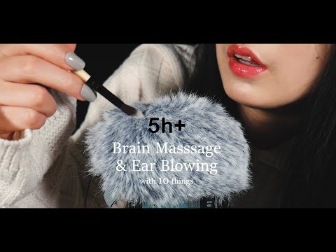 ASMR Brain Massage & Ear Blowing with 10 things 5Hr+ | Fluffy Mic Touching & Scratching (No Talking)