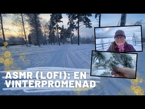 ASMR på svenska: Lo-fi en kall vinterdag i februari