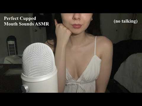 Perfect Cupped Mouth Sounds ASMR ♡ (mouth sounds, no talking, lofi, looped)