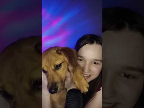 Amora's asmr