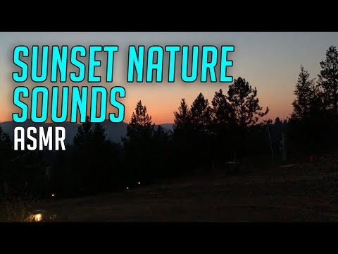 Ambiant White Noise Nature Sounds | Relaxing Sounds for Sleep