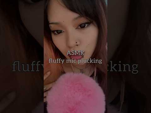 fluffy mic plucking asmr #asmr #tingly #tingles #tinglyasmr #asmrsounds #asmrtriggers