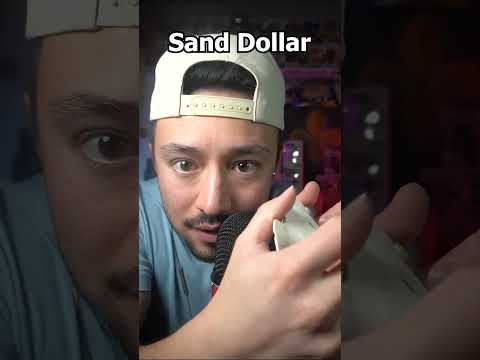 Doing my OG ASMR Triggers (OG COREY ASMR)