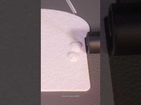 #asmr Unique Paper that Swells with Water 🍞 Sponge Paper #shorts #asmrshorts #satisfying