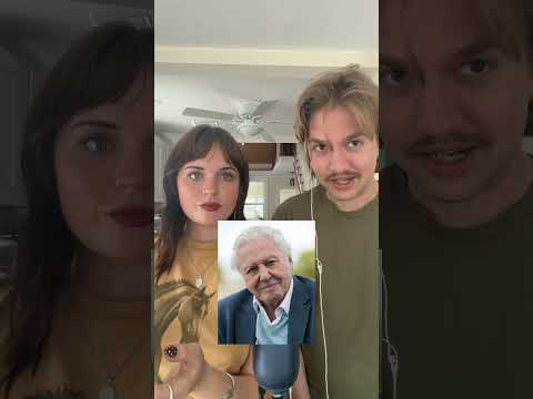 Can these 🇺🇸 ASMRtists guess the 🇬🇧 icons? Let’s see ! #asmrsounds #asmr #guess #shorts #games